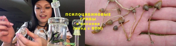 jwh Алексеевка